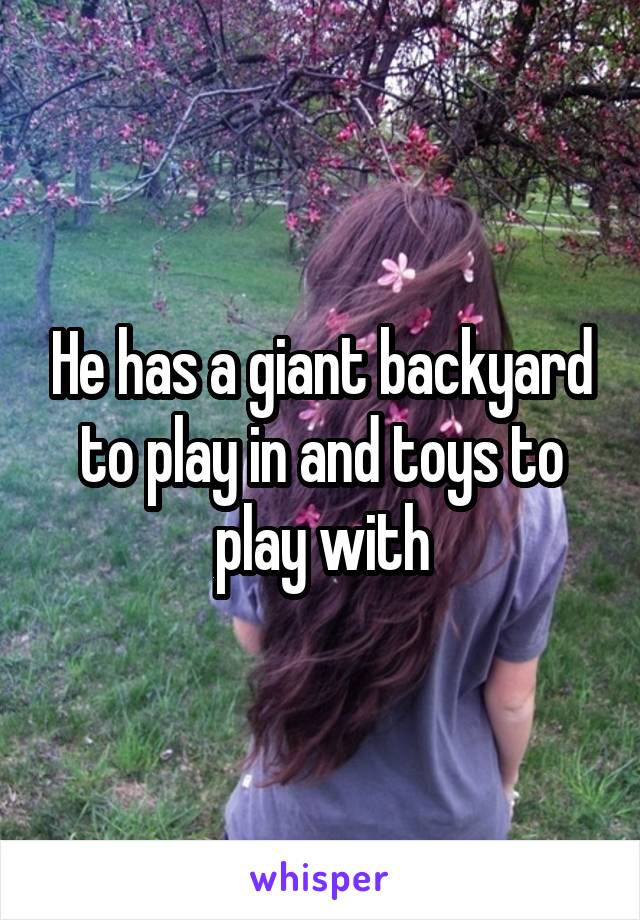 He has a giant backyard to play in and toys to play with