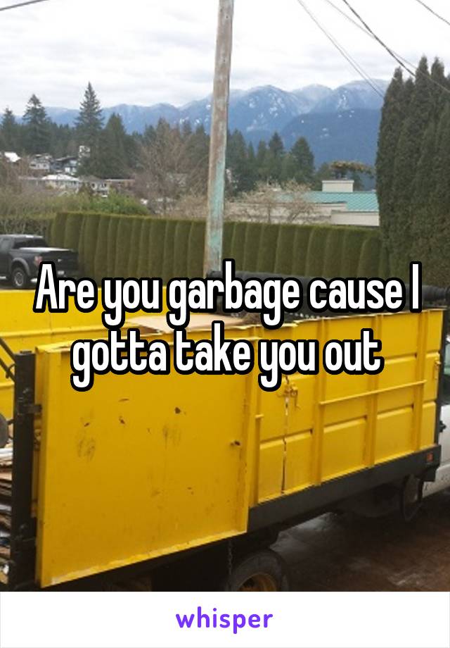 Are you garbage cause I gotta take you out