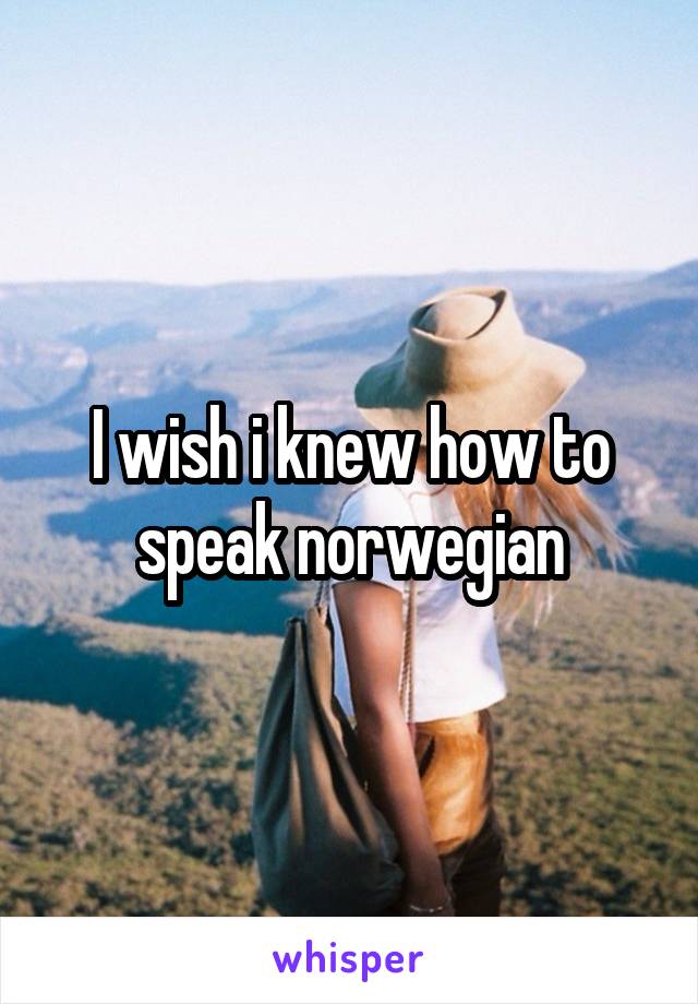 I wish i knew how to speak norwegian