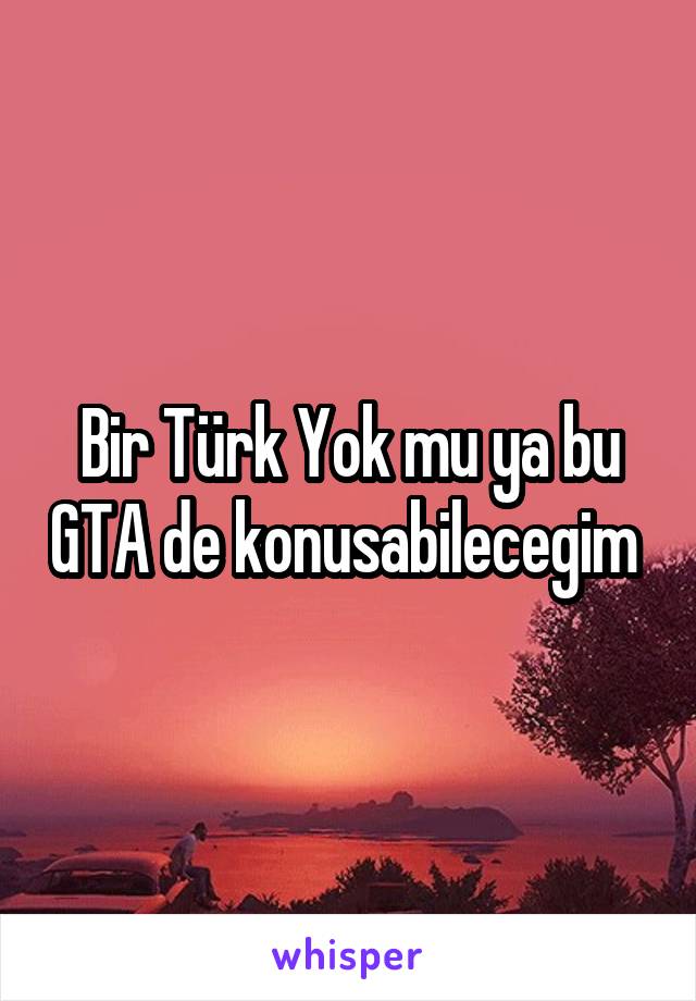 Bir Türk Yok mu ya bu GTA de konusabilecegim 