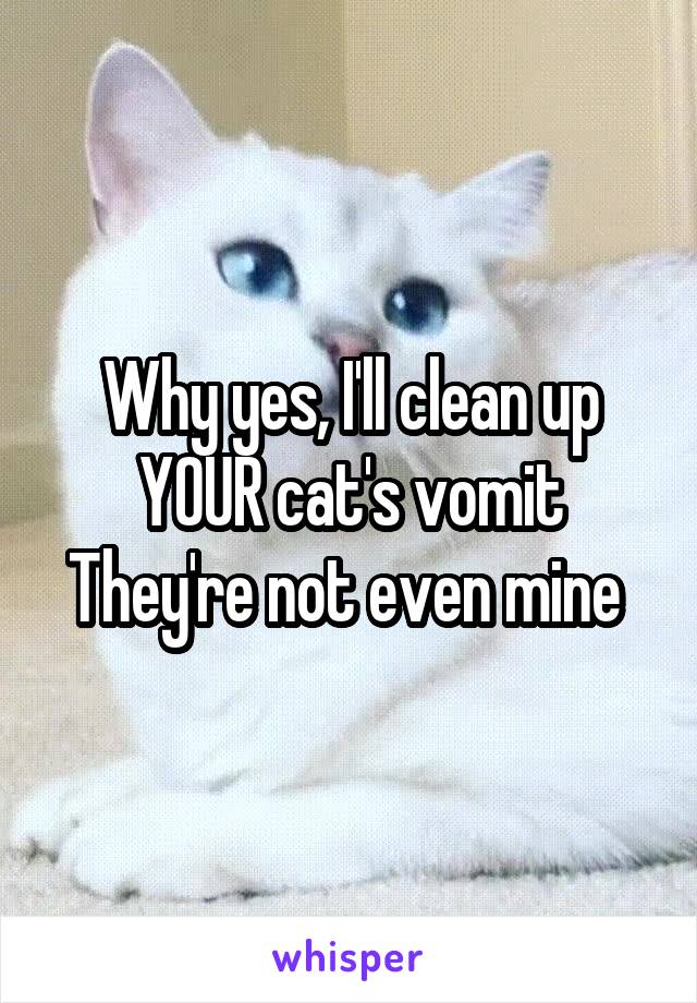 Why yes, I'll clean up YOUR cat's vomit
They're not even mine 