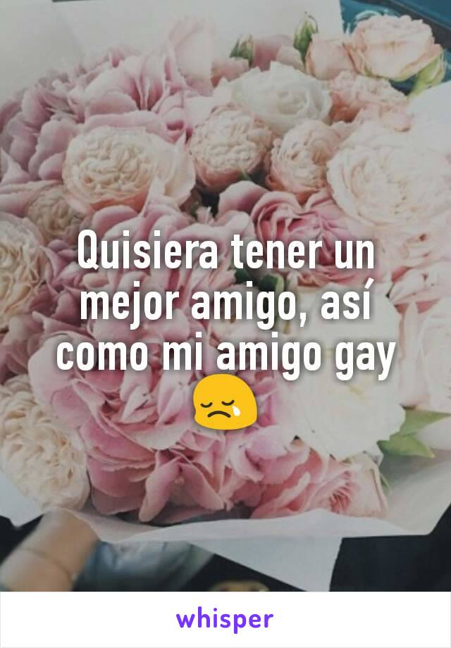 Quisiera tener un mejor amigo, así como mi amigo gay 😢