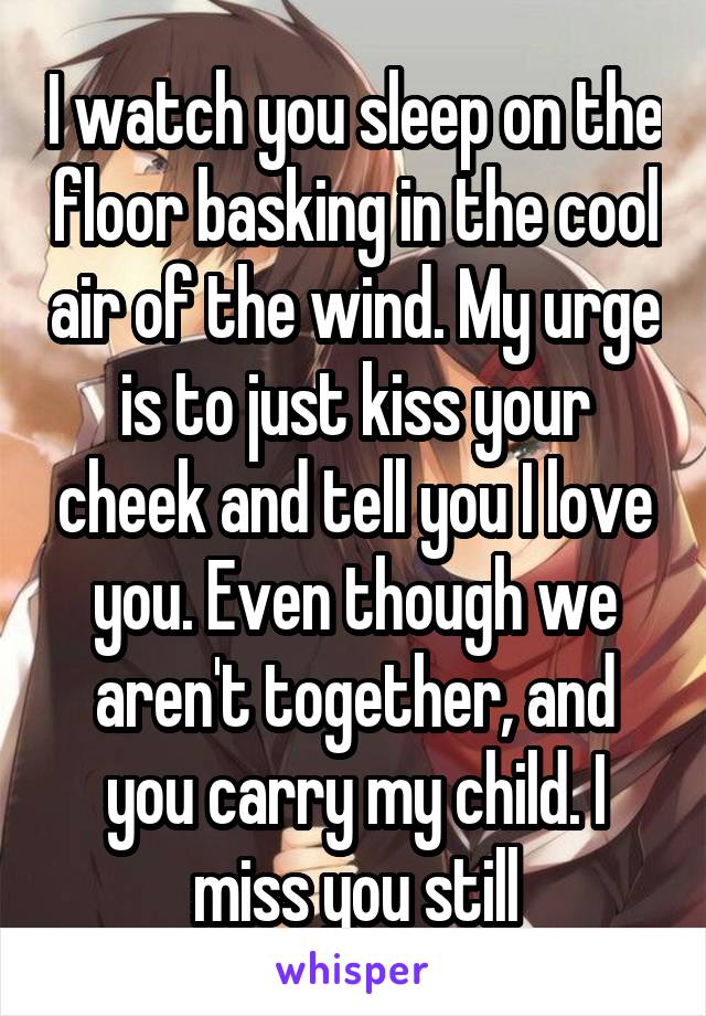 I watch you sleep on the floor basking in the cool air of the wind. My urge is to just kiss your cheek and tell you I love you. Even though we aren't together, and you carry my child. I miss you still