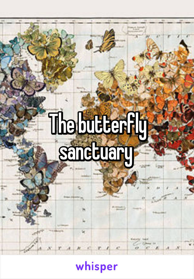 The butterfly sanctuary 