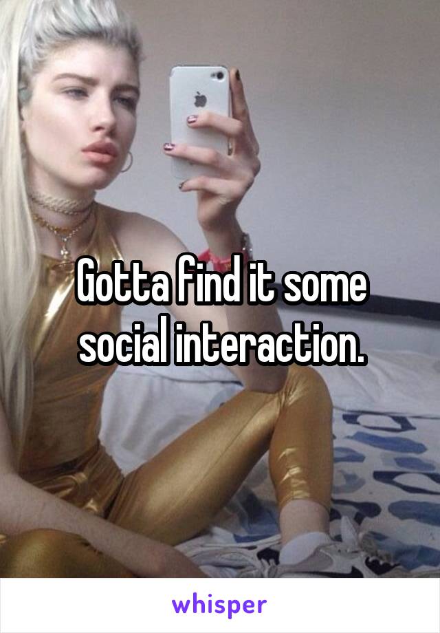 Gotta find it some social interaction.