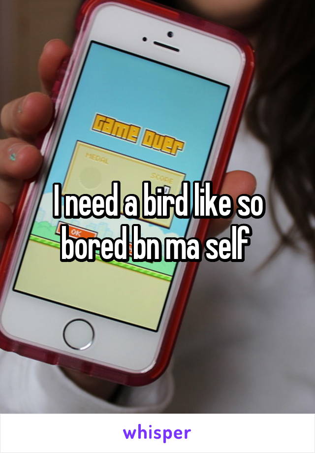 I need a bird like so bored bn ma self 