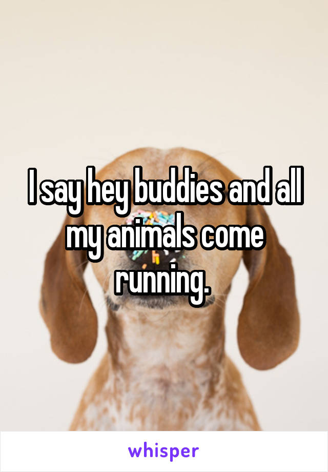 I say hey buddies and all my animals come running. 