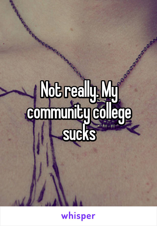 Not really. My community college sucks