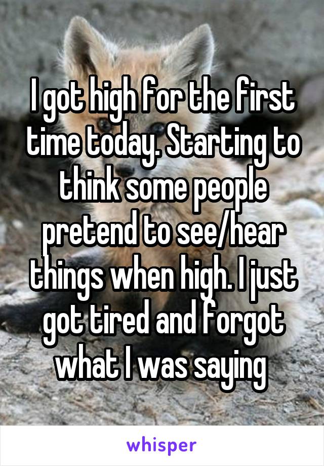 I got high for the first time today. Starting to think some people pretend to see/hear things when high. I just got tired and forgot what I was saying 