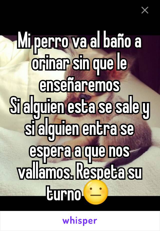 Mi perro va al baño a orinar sin que le enseñaremos
Si alguien esta se sale y si alguien entra se espera a que nos vallamos. Respeta su turno😐 