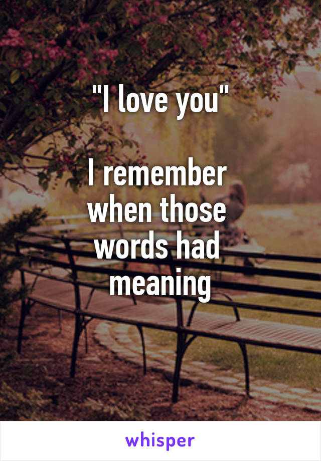 "I love you"

I remember 
when those 
words had 
meaning

