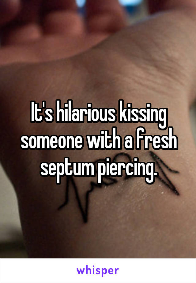 It's hilarious kissing someone with a fresh septum piercing.