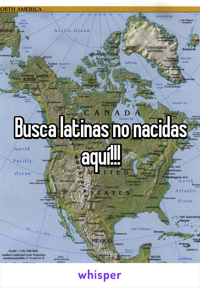 Busca latinas no nacidas aquí!!!