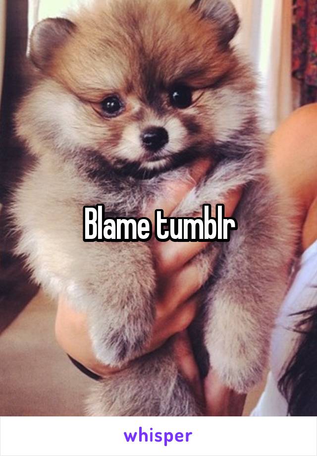 Blame tumblr