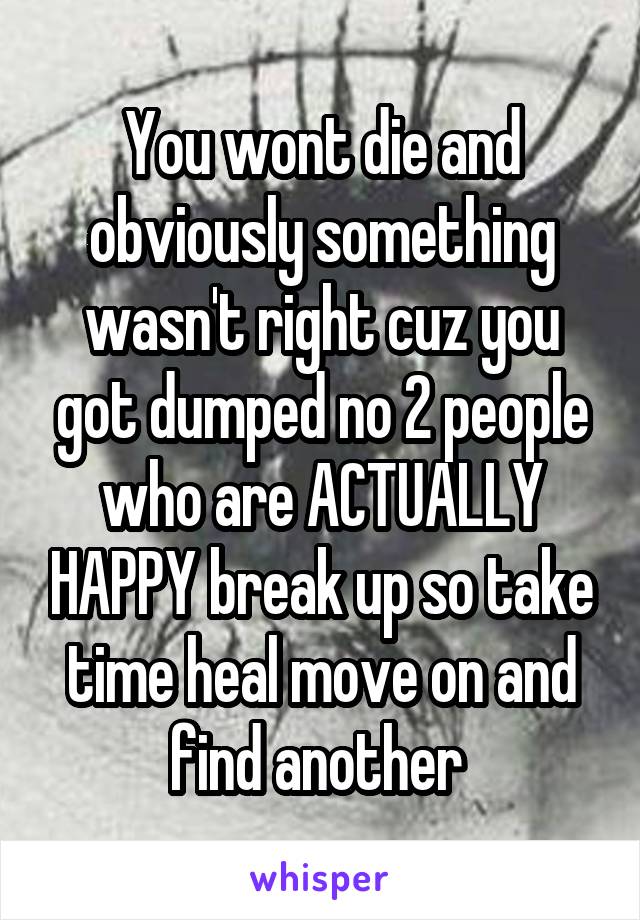 You wont die and obviously something wasn't right cuz you got dumped no 2 people who are ACTUALLY HAPPY break up so take time heal move on and find another 