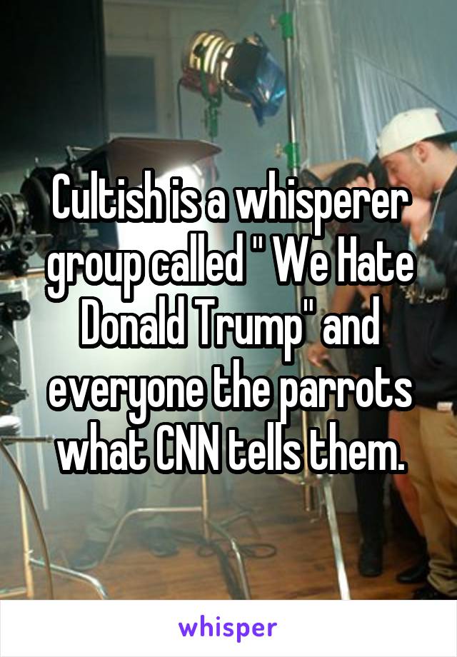 Cultish is a whisperer group called " We Hate Donald Trump" and everyone the parrots what CNN tells them.