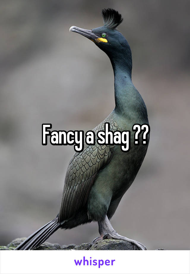 Fancy a shag 🤔😂