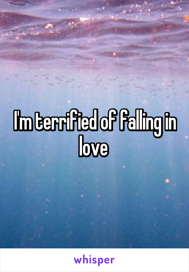 I'm terrified of falling in love 