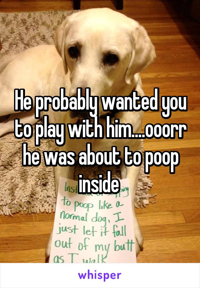 He probably wanted you to play with him....ooorr he was about to poop inside 