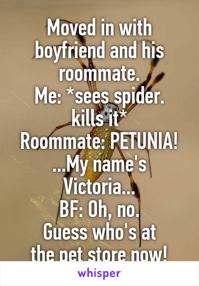 Moved in with boyfriend and his roommate.
Me: *sees spider.
kills it*
Roommate: PETUNIA!
...My name's Victoria...
BF: Oh, no.
Guess who's at
the pet store now!