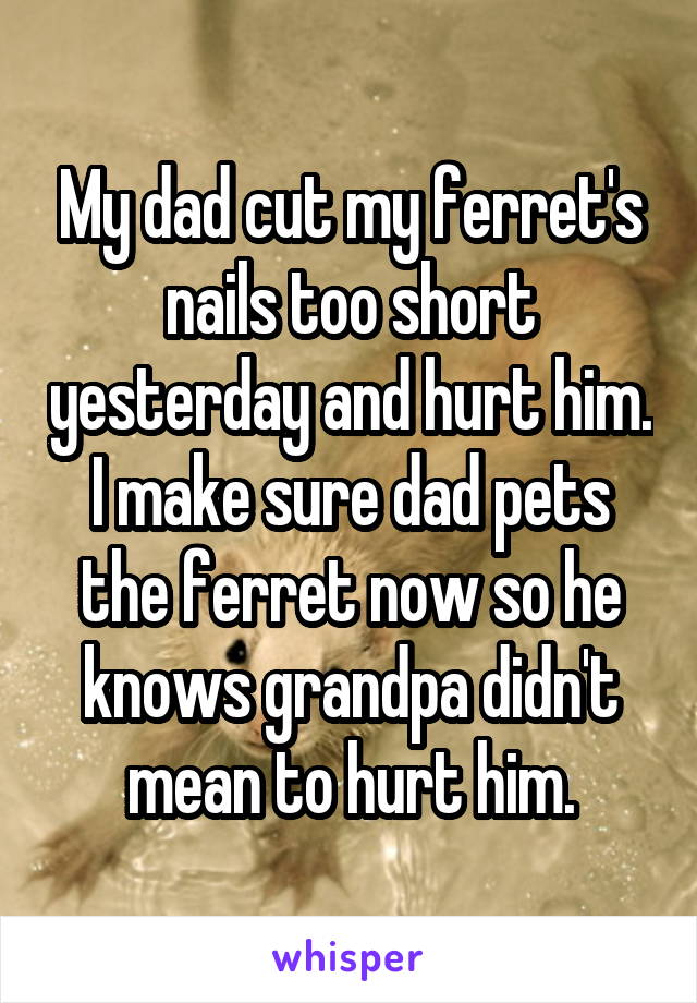 My dad cut my ferret's nails too short yesterday and hurt him. I make sure dad pets the ferret now so he knows grandpa didn't mean to hurt him.