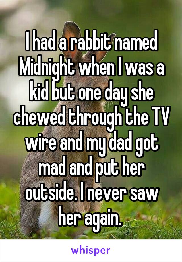 I had a rabbit named Midnight when I was a kid but one day she chewed through the TV wire and my dad got mad and put her outside. I never saw her again. 