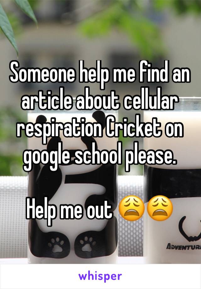 Someone help me find an article about cellular respiration Cricket on google school please.

Help me out 😩😩