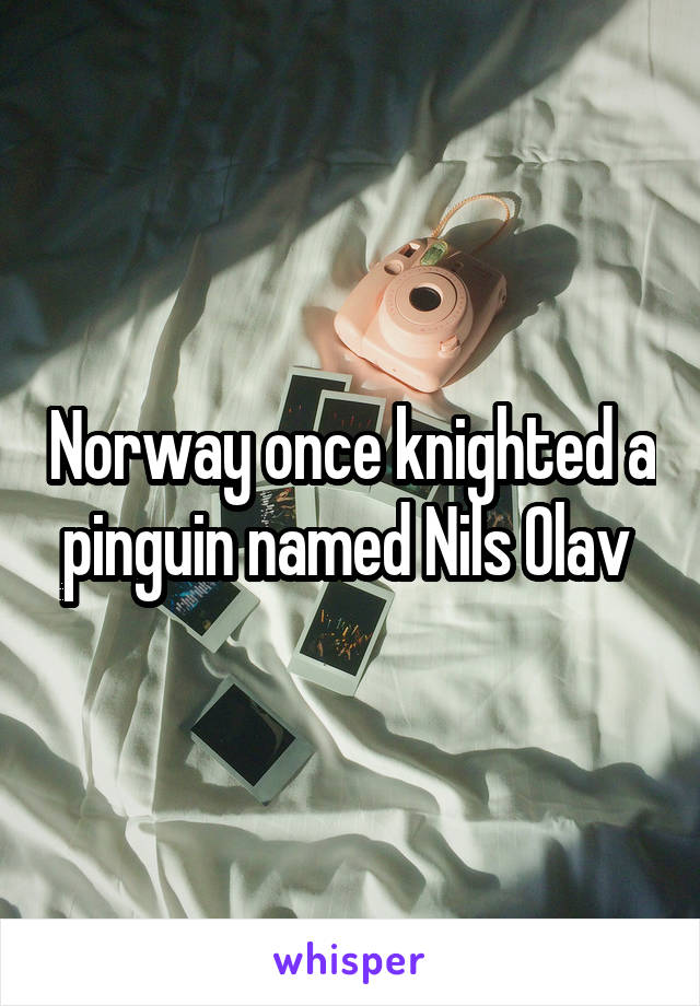 Norway once knighted a pinguin named Nils Olav 