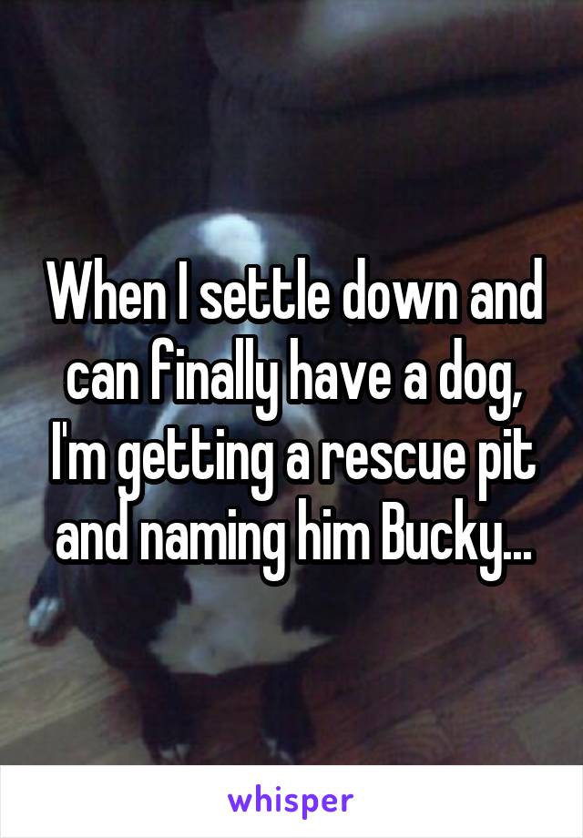 When I settle down and can finally have a dog, I'm getting a rescue pit and naming him Bucky...