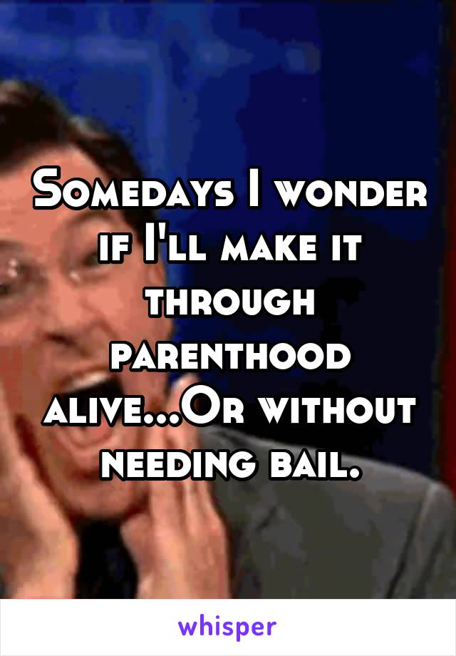 Somedays I wonder if I'll make it through parenthood alive...Or without needing bail.