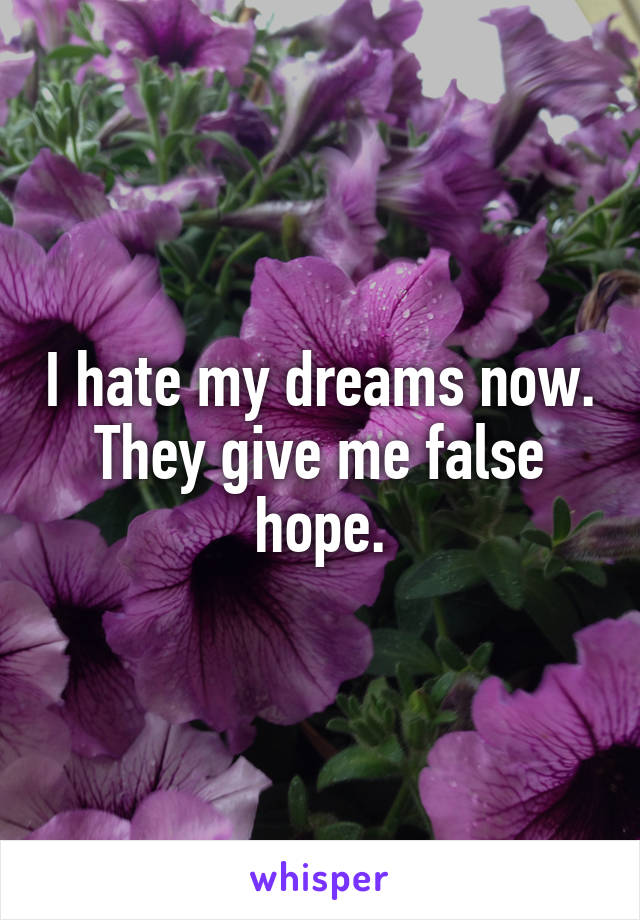 I hate my dreams now. They give me false hope.