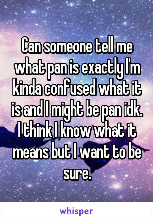 Can someone tell me what pan is exactly I'm kinda confused what it is and I might be pan idk. I think I know what it means but I want to be sure.