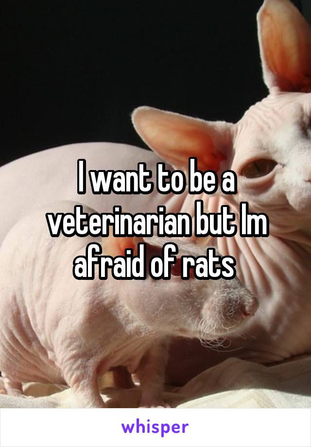 I want to be a veterinarian but Im afraid of rats 