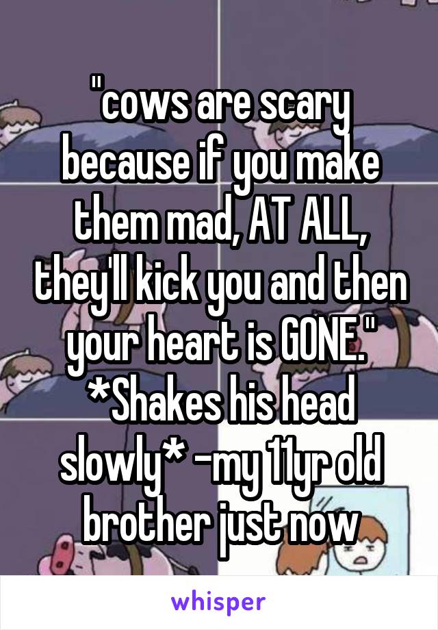 "cows are scary because if you make them mad, AT ALL, they'll kick you and then your heart is GONE." *Shakes his head slowly* -my 11yr old brother just now