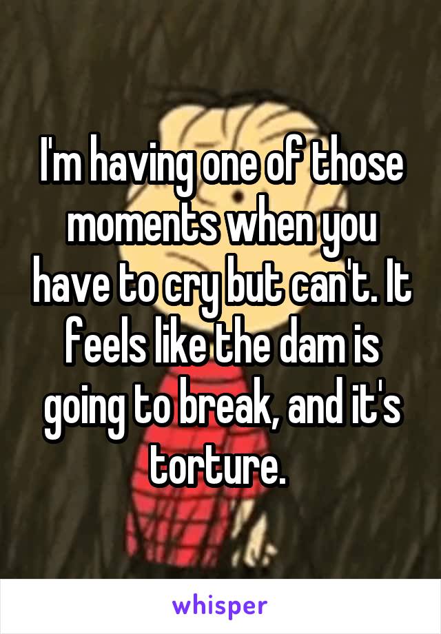 I'm having one of those moments when you have to cry but can't. It feels like the dam is going to break, and it's torture. 