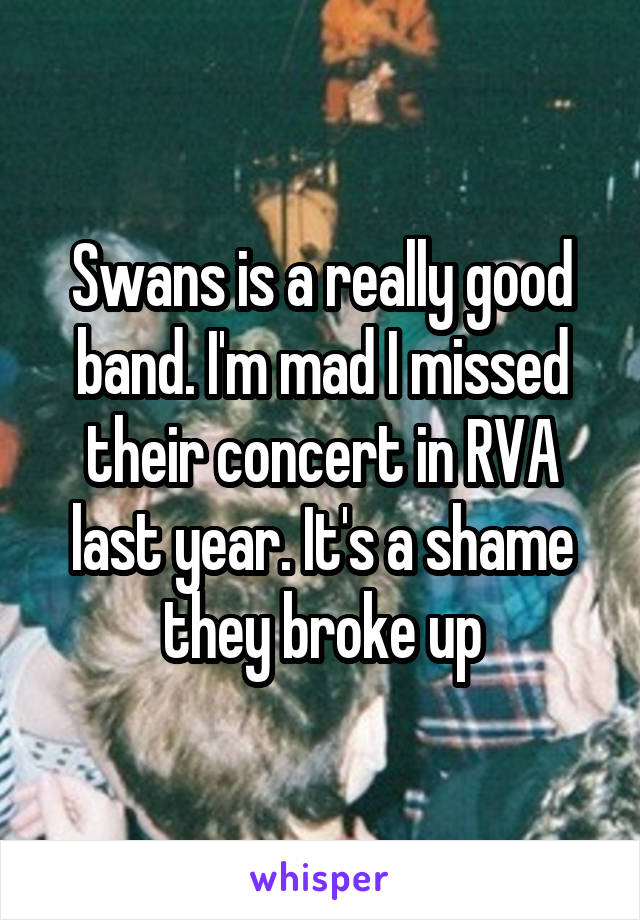 Swans is a really good band. I'm mad I missed their concert in RVA last year. It's a shame they broke up