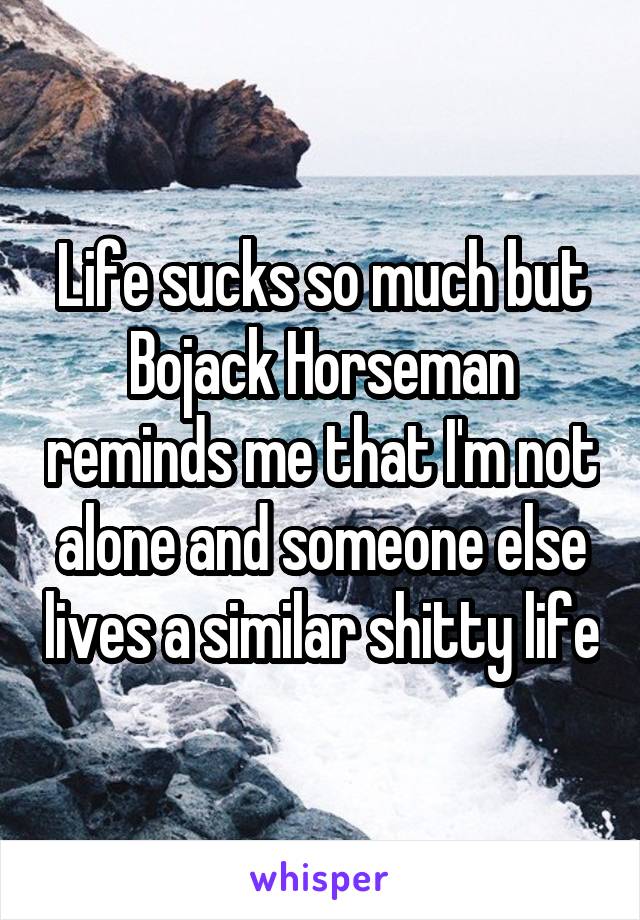 Life sucks so much but Bojack Horseman reminds me that I'm not alone and someone else lives a similar shitty life