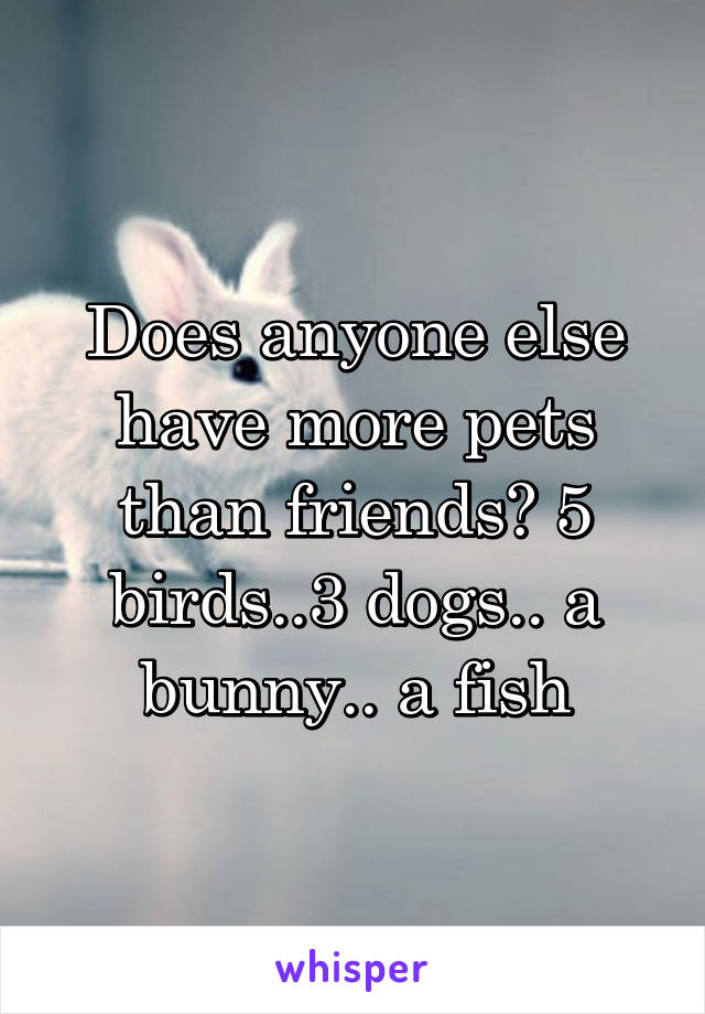 Does anyone else have more pets than friends? 5 birds..3 dogs.. a bunny.. a fish