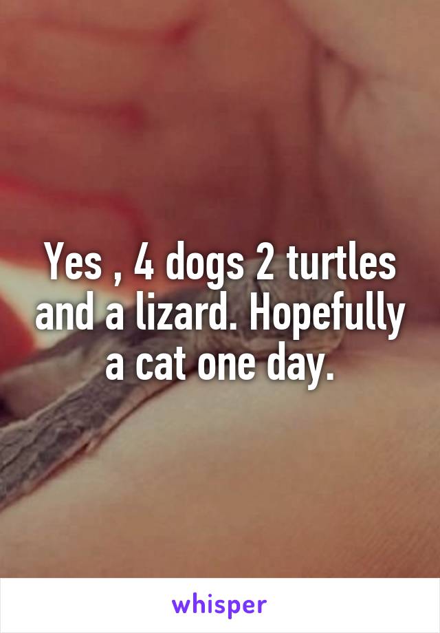 Yes , 4 dogs 2 turtles and a lizard. Hopefully a cat one day.