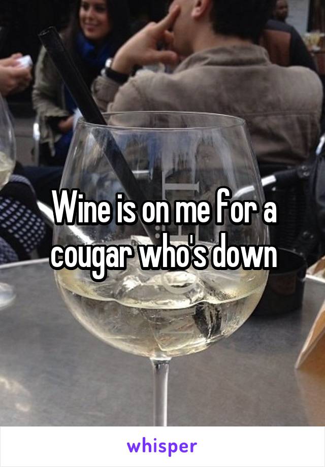 Wine is on me for a cougar who's down