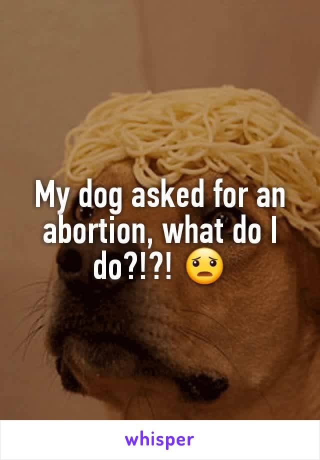 My dog asked for an abortion, what do I do?!?! 😦