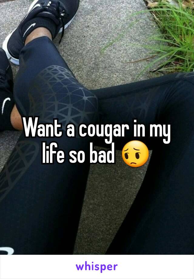 Want a cougar in my life so bad 😔