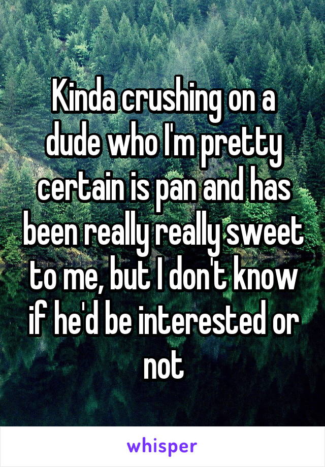 Kinda crushing on a dude who I'm pretty certain is pan and has been really really sweet to me, but I don't know if he'd be interested or not