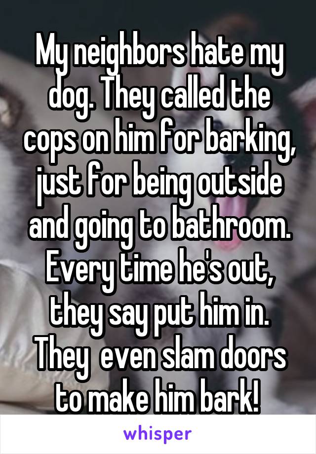 My neighbors hate my dog. They called the cops on him for barking, just for being outside and going to bathroom. Every time he's out, they say put him in. They  even slam doors to make him bark! 