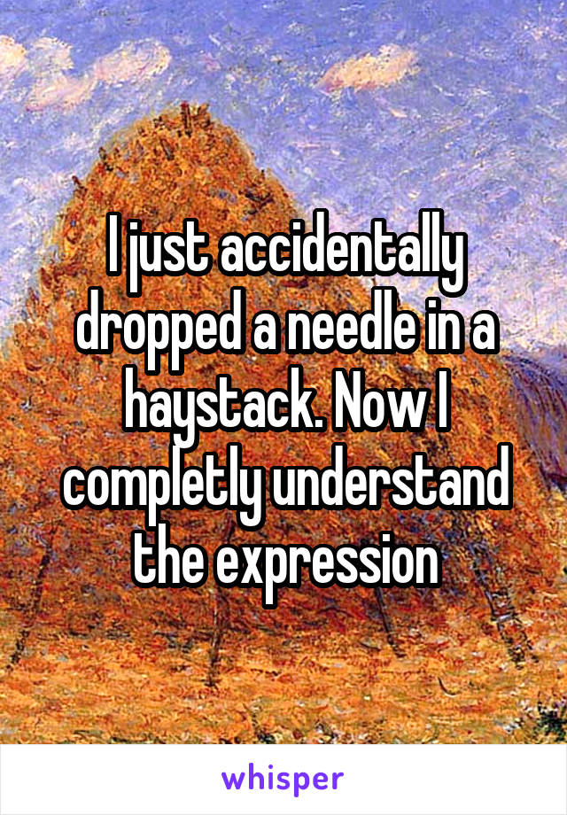 I just accidentally dropped a needle in a haystack. Now I completly understand the expression