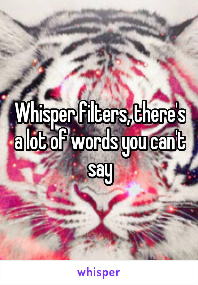 Whisper filters, there's a lot of words you can't say