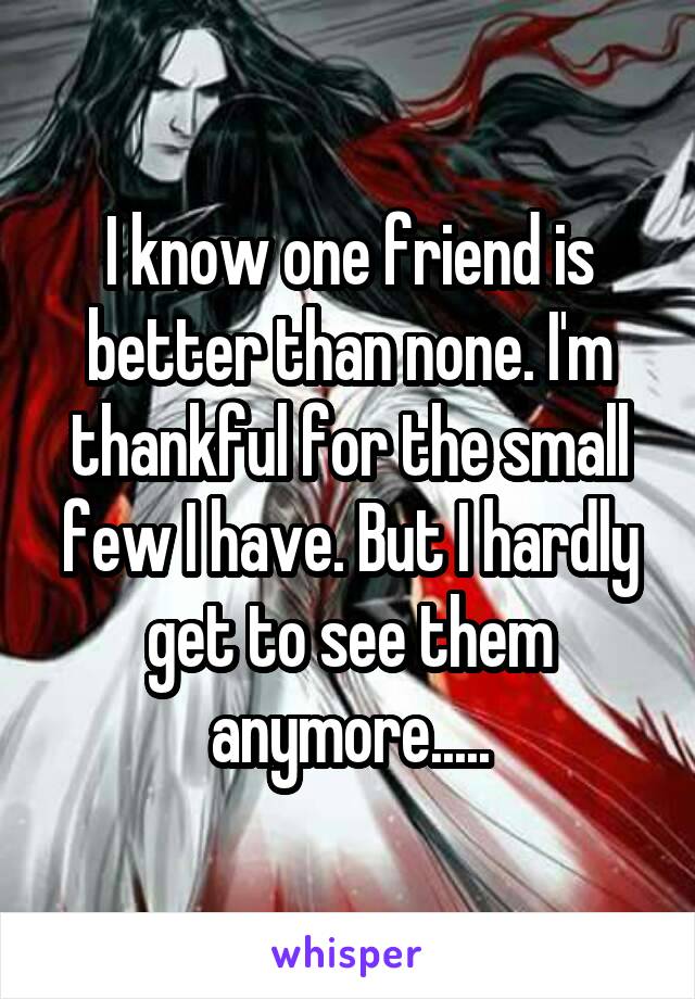 I know one friend is better than none. I'm thankful for the small few I have. But I hardly get to see them anymore.....