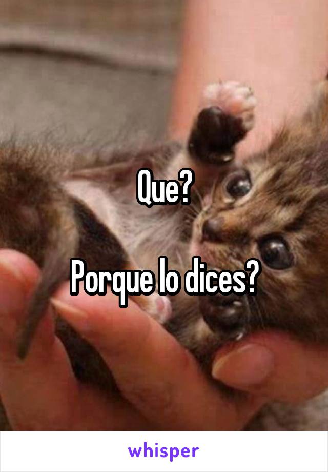 Que?

Porque lo dices?