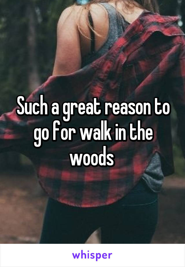 Such a great reason to go for walk in the woods 