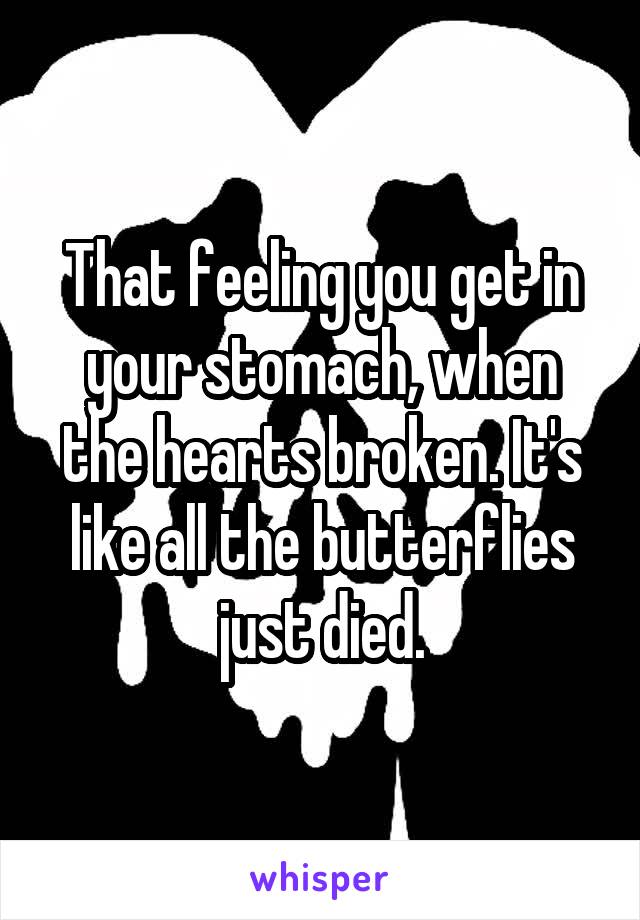 That feeling you get in your stomach, when the hearts broken. It's like all the butterflies just died.